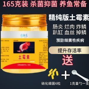 红龙鱼什么时候用土霉素最好：红龙鱼什么时候用土霉素合适 红龙鱼百科 第1张