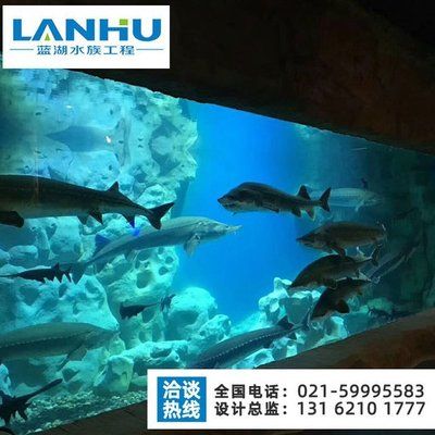 水族馆设计工程施工：水族馆设计工程施工的重要性