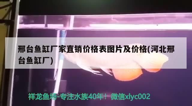 邢台鱼缸批发市场：邢台市鱼缸批发市场 全国观赏鱼市场 第9张