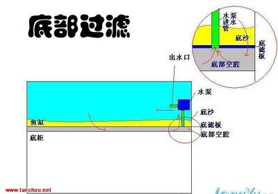 鱼缸出水方式有哪些：鱼缸出水口如何设置 鱼缸百科 第5张