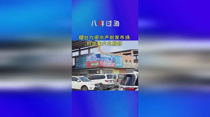 烟台鱼缸批发市场：烟台鱼缸批发市场在哪里 全国观赏鱼市场 第3张