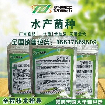 EM菌在观赏鱼养殖中的应用：em菌在观赏鱼养殖中具有广阔的发展机遇，em菌在观赏鱼养殖中的应用 观赏鱼百科 第5张