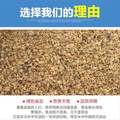 观赏鱼专用饲料选购指南：如何选择观赏鱼专用饲料 观赏鱼百科 第4张