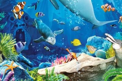 水族馆作文100字：水族馆亲子活动安排,水族馆亲子活动安排介绍 水族馆百科（水族馆加盟） 第4张