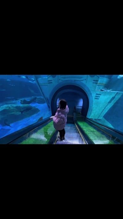 九江水族馆：九江哪里有水族馆 全国观赏鱼市场 第7张