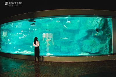 水族馆是什么样子：上海海洋水族馆 水族馆百科（水族馆加盟） 第2张