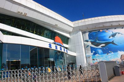 水族馆是什么样子：上海海洋水族馆 水族馆百科（水族馆加盟） 第1张