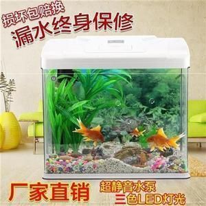 观赏龙鱼的心情说说短句文案 水族问答