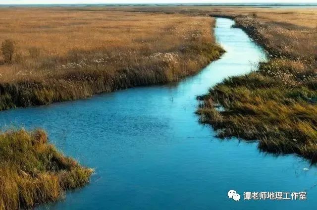 观赏龙鱼的心情说说短句文案怎么写：观赏龙鱼的心情说说短句 水族问答 第1张