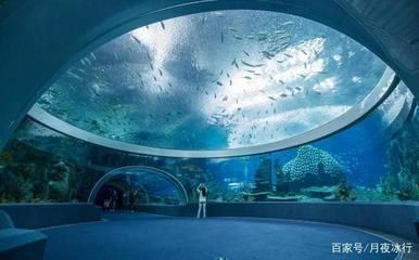 水族馆建造费用标准：水族馆设计创意案例分享 水族馆百科（水族馆加盟） 第1张