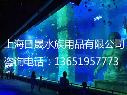 水族馆设计图：关于水族馆设计图的详细解析