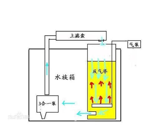 高档鱼缸过滤系统：高档鱼缸过滤系统品牌对比鱼缸过滤系统品牌对比