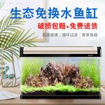 金昌鱼缸批发市场：金昌水族批发市场在哪里 全国观赏鱼市场 第10张