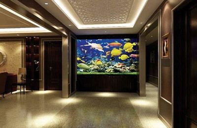 水族馆店铺装修效果图大全：水族馆店铺装修效果图 水族馆百科（水族馆加盟） 第4张