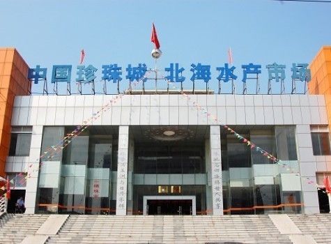 北海水族批发市场：北海水族批发市场在哪里 全国观赏鱼市场 第5张