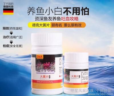 观赏鱼专用药物品牌排行：观赏鱼专用药品牌排行榜 观赏鱼百科 第2张