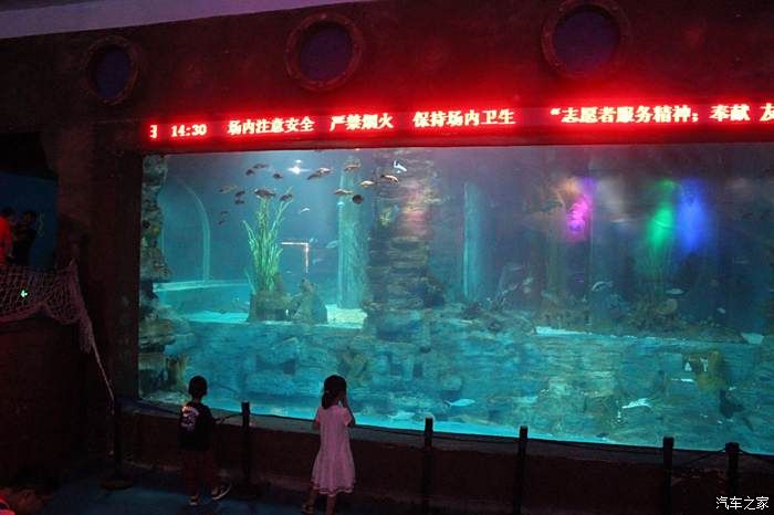 水族馆生意怎么样好做吗：水族馆的发展前景