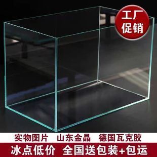 金晶鱼缸图片大全：金晶鱼缸图片大全金晶鱼缸装饰搭配建议金晶鱼缸维护保养方法 鱼缸百科 第2张