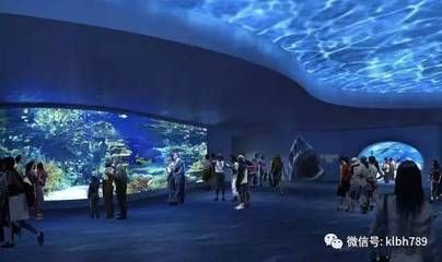 淮安水族馆：淮安贝壳酒店 全国观赏鱼市场 第2张