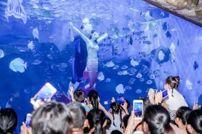 淮安水族馆：淮安贝壳酒店 全国观赏鱼市场 第3张