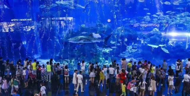 成都水族馆门票：成都水族馆游客评价汇总成都水族馆优惠活动查询