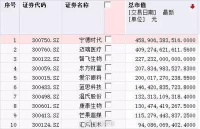 异形鱼缸造景效果图：异形鱼缸造景效果图详情 鱼缸百科 第5张