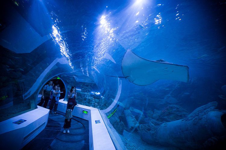 芜湖水族馆：芜湖水族馆地址