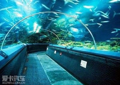 水族馆投资多少钱合适：水族馆投资成本分析 水族馆百科（水族馆加盟） 第1张