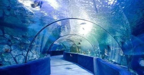 建一个水族馆多少钱：广州白云机场新建水族馆项目预计投放至少2000条鱼 水族馆百科（水族馆加盟） 第2张