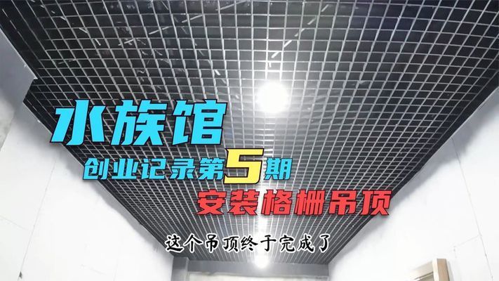 想开个水族馆赚钱吗现在还能开吗 水族馆百科（水族馆加盟） 第2张