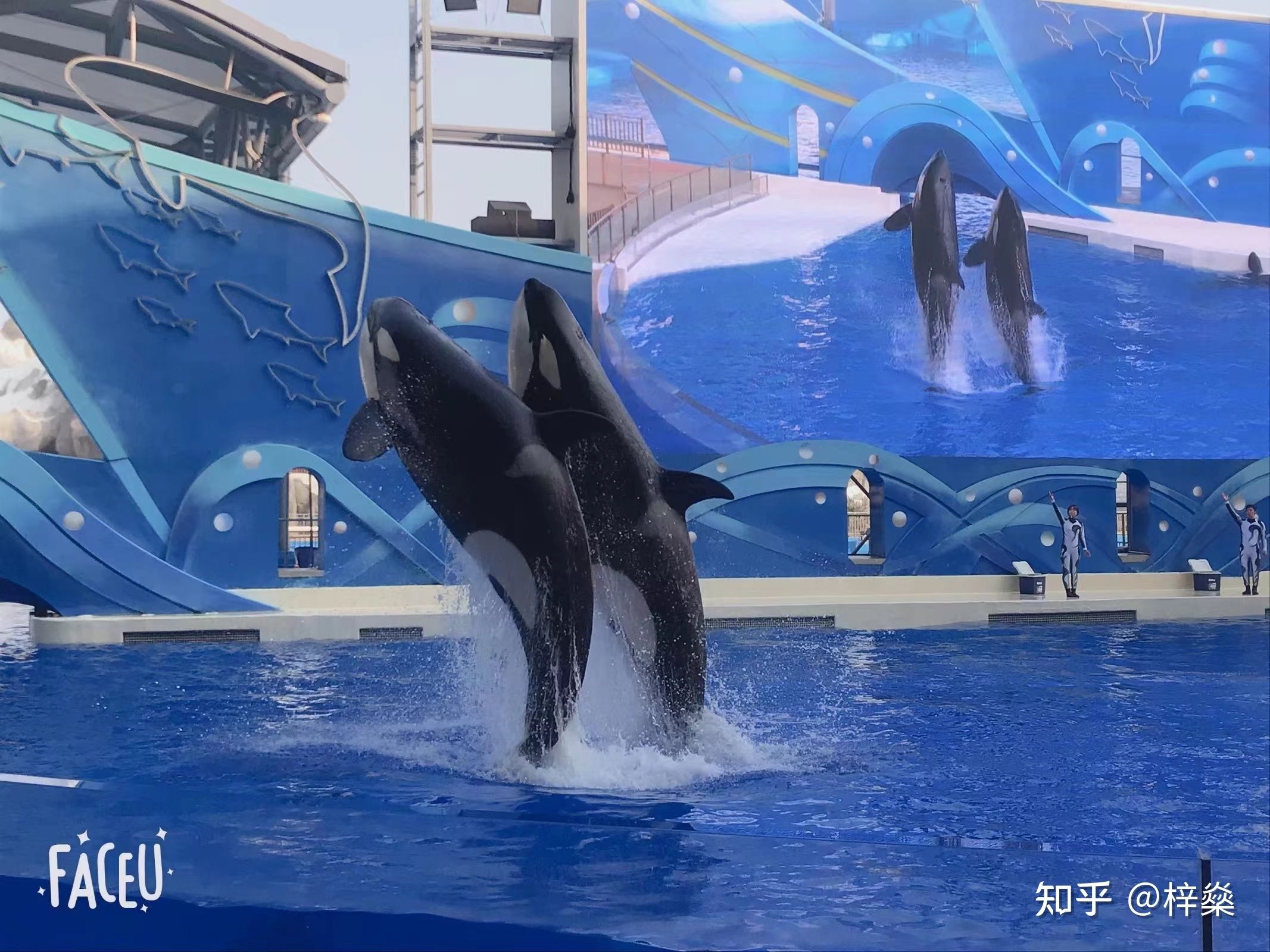 想开个水族馆赚钱吗现在还能开吗 水族馆百科（水族馆加盟） 第5张