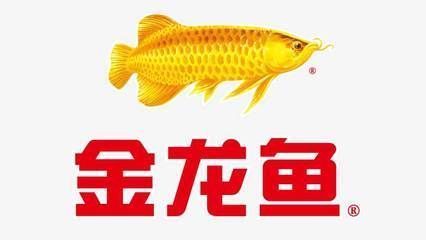 金龙鱼鱼鳍：金龙鱼的鱼鳍特点 金龙鱼百科 第1张