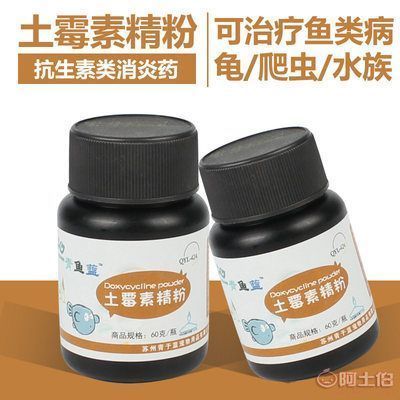 观赏鱼药物安全使用指南：观赏鱼药物使用指南 观赏鱼百科 第3张