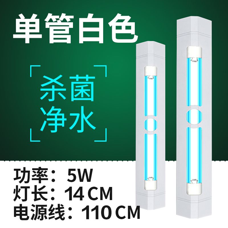 过背金龙鱼的特点：如何判断一条金龙鱼是否健康？ 水族问答 第2张