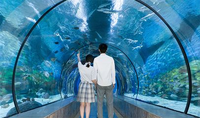 宁波水族馆：关于宁波水族馆的一些问题