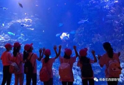 常州水族馆：常州旅游攻略常州水族馆