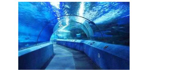 常州水族馆：常州旅游攻略常州水族馆 全国观赏鱼市场 第3张