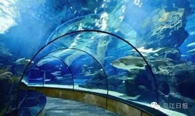 中国水族馆哪里的比较好：世界最大的内陆水族馆——北京海洋馆