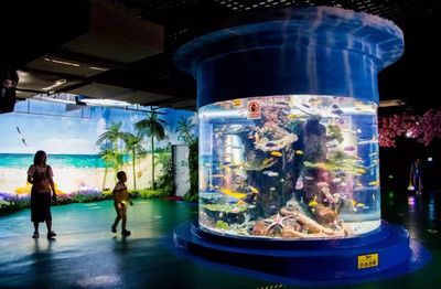 水族馆特点：上海海洋水族馆科研成果有哪些应用水族馆互动体验项目介绍 水族馆百科（水族馆加盟） 第3张