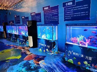 水族馆特点：上海海洋水族馆科研成果有哪些应用水族馆互动体验项目介绍 水族馆百科（水族馆加盟） 第1张