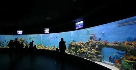 水族馆特点：上海海洋水族馆科研成果有哪些应用水族馆互动体验项目介绍 水族馆百科（水族馆加盟） 第5张