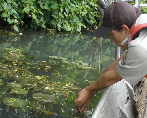 观赏鱼水质监测工具推荐：观赏鱼水质监测的重要性与实用工具