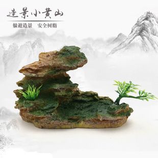 黄山鱼缸批发市场：黄山水族批发市场 全国观赏鱼市场 第6张