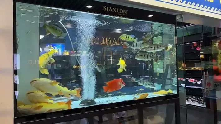 水族馆加盟连锁店怎么样啊多少钱：水族馆加盟连锁店的费用分析 水族馆百科（水族馆加盟） 第2张