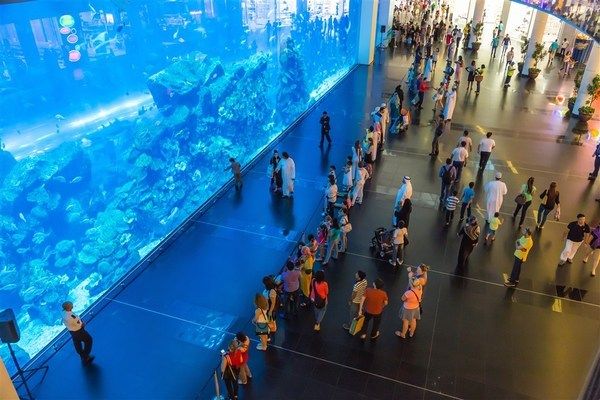 水族馆主题餐厅：全球水族馆主题餐厅排名