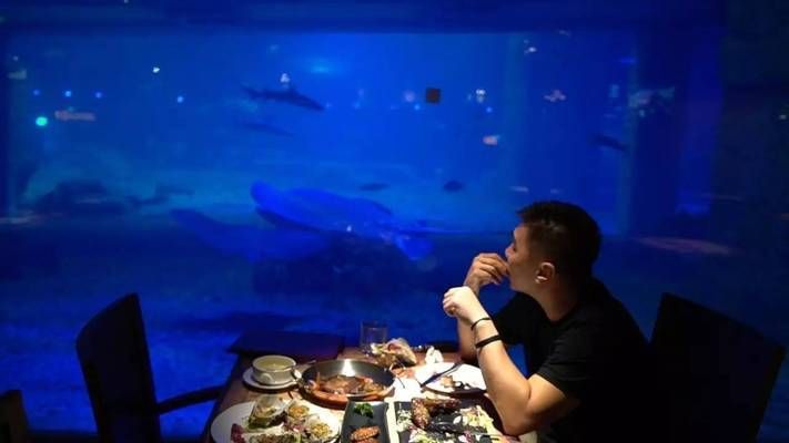 水族馆主题餐厅：全球水族馆主题餐厅排名