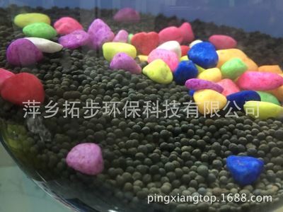 萍乡鱼缸批发市场：萍乡水族批发市场在哪里 全国观赏鱼市场 第1张