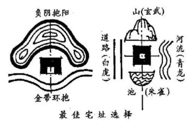 海皇牌是金龙鱼旗下的么：海皇牌是否属于金龙鱼旗下的一部分？ 水族问答 第1张