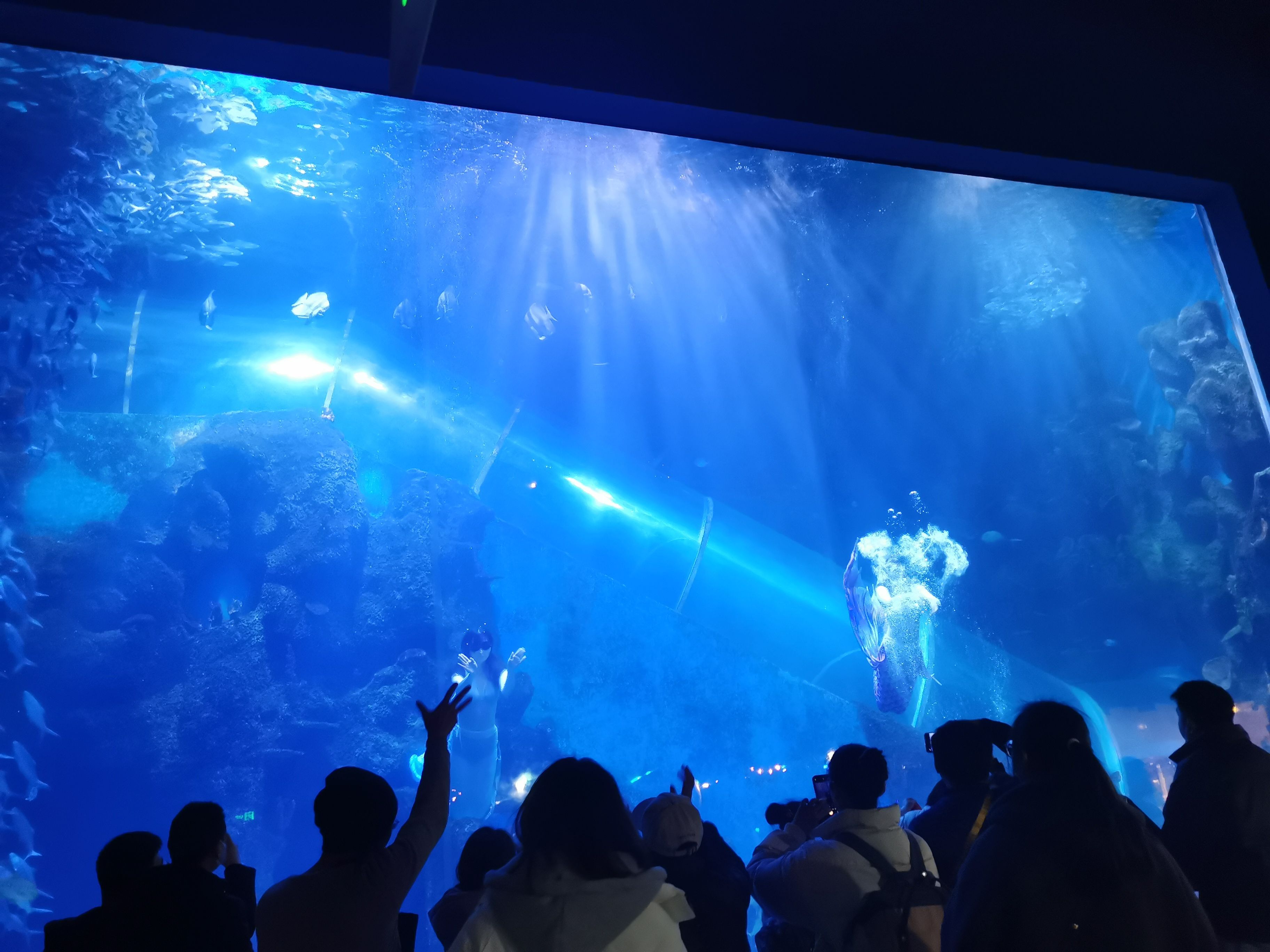 徐州水族馆：徐州云龙湖水上世界最大的淡水鱼展览馆徐州水族展览馆 全国观赏鱼市场 第3张