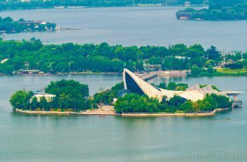 徐州水族馆：徐州云龙湖水上世界最大的淡水鱼展览馆徐州水族展览馆 全国观赏鱼市场 第5张